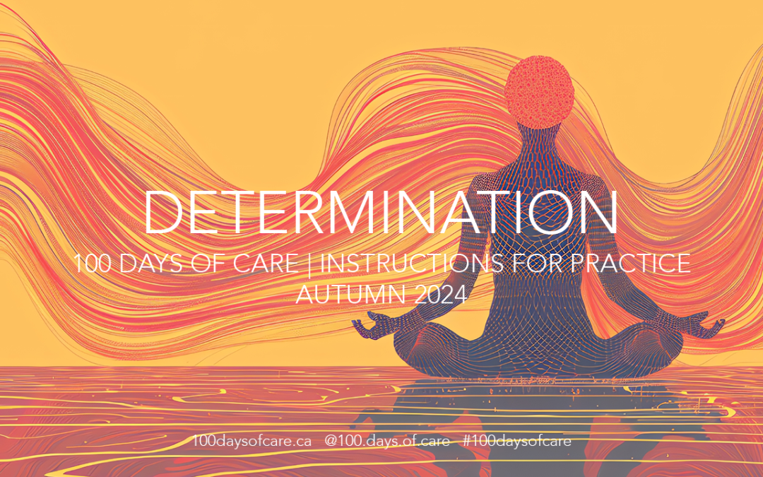 Determination | Instructions for Practice